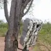 HME ETCH EASY AIM CAMERA HOLDER
