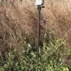 HME HME-TCH-G TRAIL CAMERA HOLDER GRND MOUNT
