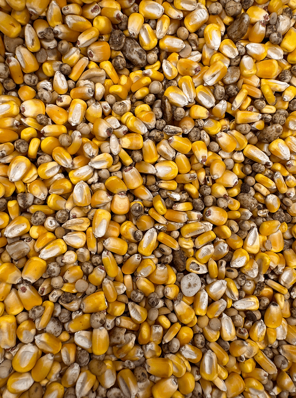 Triple Grip Deer Feed - Image 3