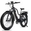 E-Explorer Off-Road E-Bike (Size M, Black)