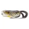 Live Target FHP55T502 Hollow Body Frog Popper 2" Topwater Lure