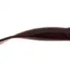 ZOOM 026-096 ZOOM Ole Monster 10.5" 9Pk Scuppernong