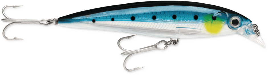X-Rap Saltwater 08 Blue Sardine