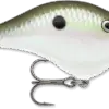 Dives-To 06 Green Gizzard Shad