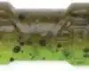 CrushCity Pig Stick 5 Green Pumpkin Magic