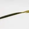 Zoom U-V Speed Worm 6" Green Pumpkin