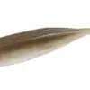 Zoom Winged Fluke 4in Tennessee Shad 8pk