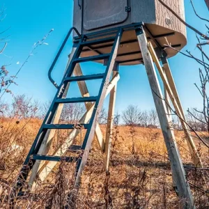 8' Ladder